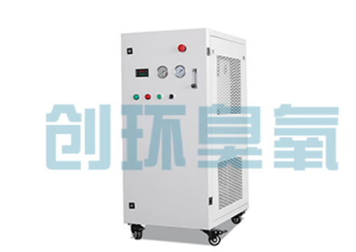 璧山石斑鱼养殖水质调控完整指南：臭氧发生器配置与操作步骤