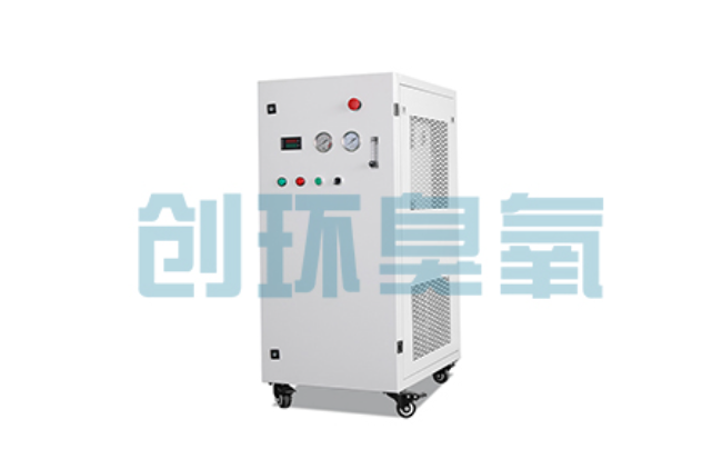 璧山比传统换水更高效？臭氧发生器在石斑鱼养殖中的水质净化原理解析